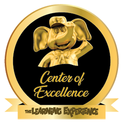 Center of Excellence Award - 2018,2017