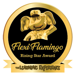 Rising Star Award - 2017
