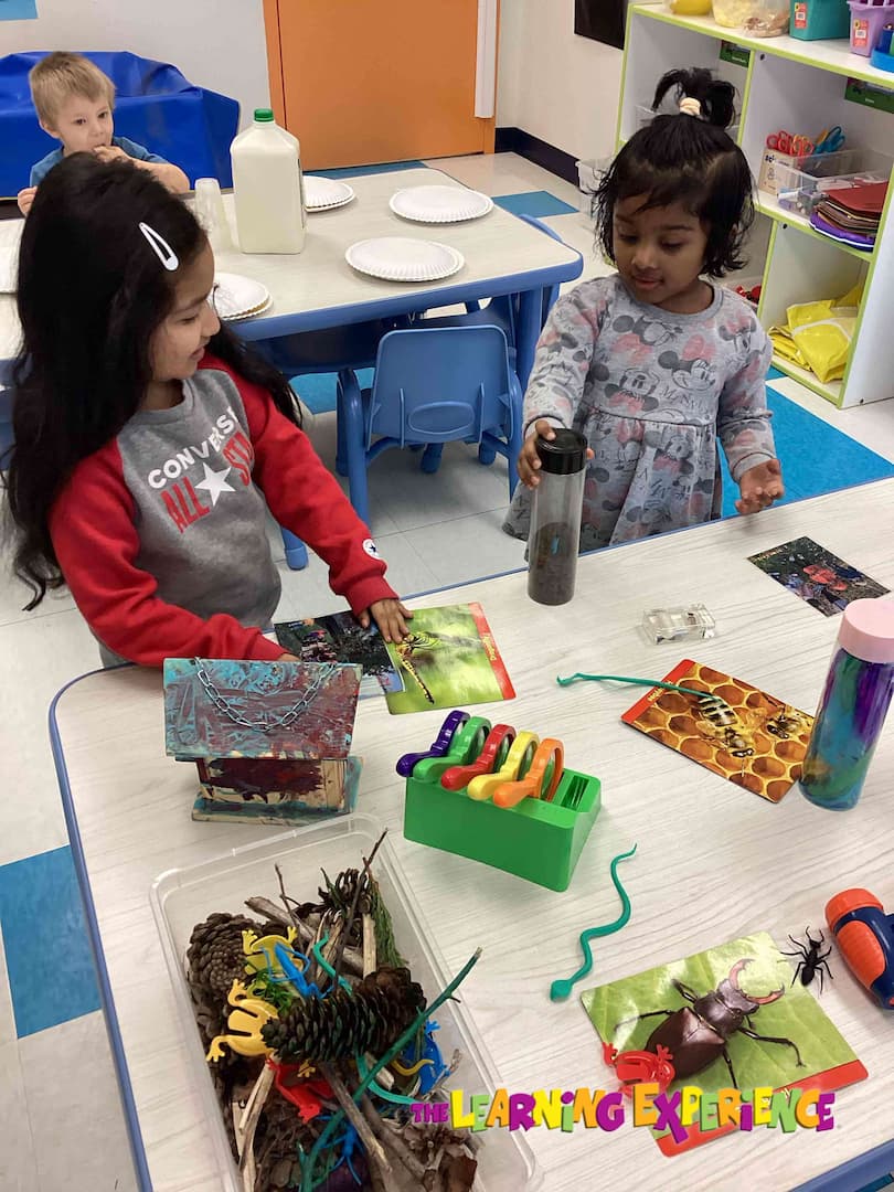 Preschool & Daycare Bolingbrook, IL The Learning Experience